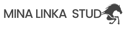 Mina Linka Stud
